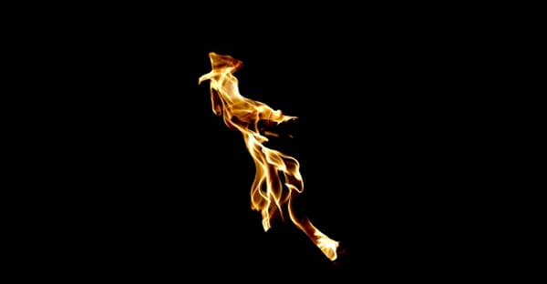 ヨーカビー（八日日）とは