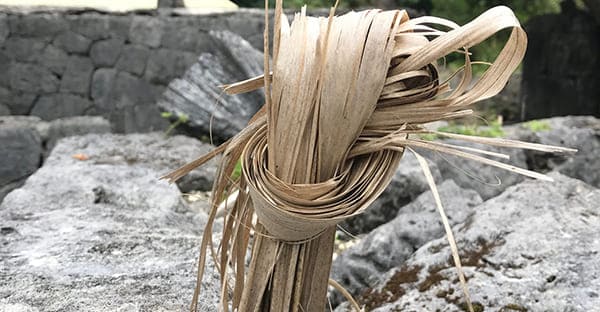 シバサシ（柴差し）とは