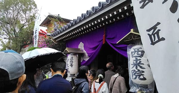 西来院（達磨寺）｜卯・戌・亥