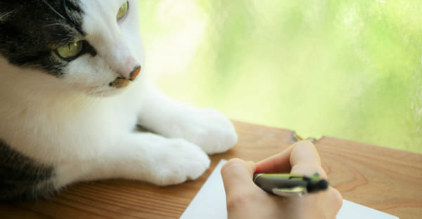 寒中見舞いの時期とマナー（2026年1月8日〜2月3日）