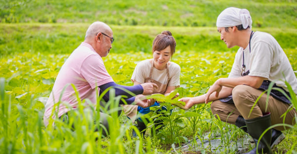 冬土用と間日｜2026年1月17日〜2月3日