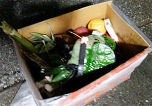 どこに置く？地域差にも注意