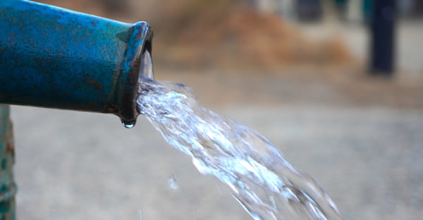 沖縄の旧正月は「朝一番」から始まる