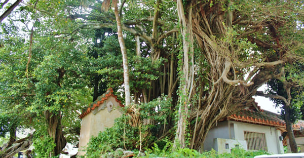 似た伝説も存在する｜宮古島・漲水御嶽の物語