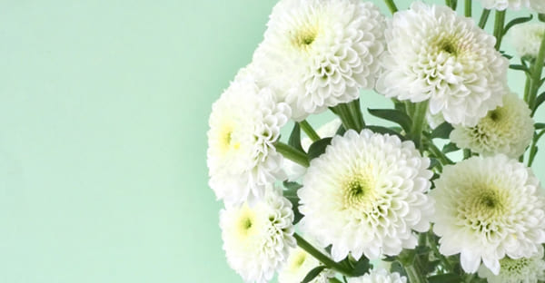 まとめ｜喪中の正月は無理なく、心を整えて過ごす