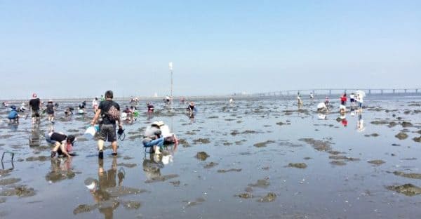 まとめ|2026年の浜下りを楽しもう