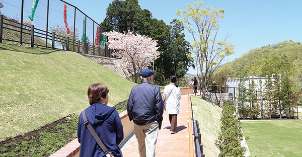 親族間で協力して墓じまい・改葬を進めよう