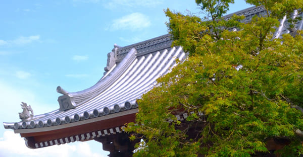 穴場でゆっくり参拝できる初詣スポット