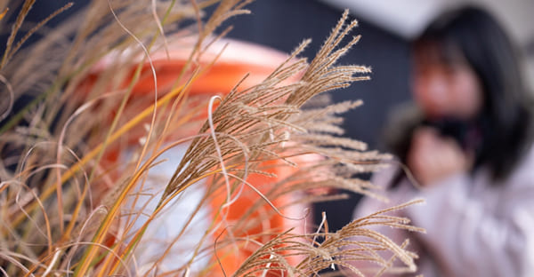 寒中見舞いはいつからいつまで?出す時期と日付の目安