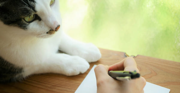 まとめ|寒中見舞いの時期とマナー、日本の言葉で美しく気遣う