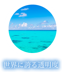 世界に誇る透明度