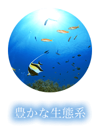 豊かな生態系