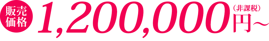 1,200,000円〜(非課税)