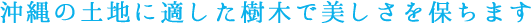 個別にお参りができます