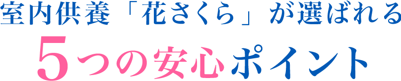 室内供養「花さくら」が選ばれる5つの安心ポイント