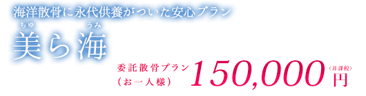 美ら海